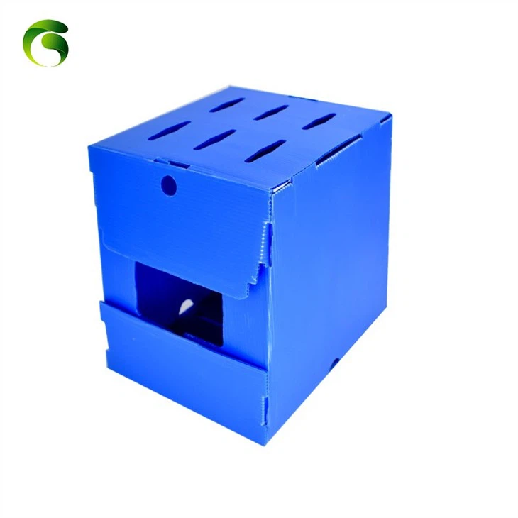 Pp Corrugated Plastic Packing Box For Asparagus